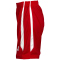 PEAK Team Basketballtrikot-Set Damen 20004 - rot/weiss XXL