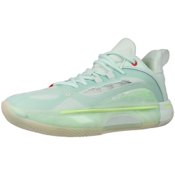 PEAK TaiChi Flash 5.0 Basketballschuhe 21747 - green 41