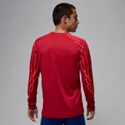 NIKE Paris Saint-Germain Dri-FIT Stadium 4th Torwarttrikot Herren