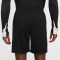 NIKE FC Liverpool Strike Dri-FIT Shorts Herren