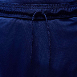 NIKE Paris Saint-Germain Dri-FIT Stadium 4th Shorts Herren