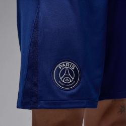 NIKE Paris Saint-Germain Dri-FIT Stadium 4th Shorts Herren