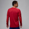 NIKE Paris Saint-Germain Dri-FIT Stadium 4th Torwarttrikot Herren 660 - wings jrdn red/laser crimson/phantom XL