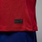 NIKE Paris Saint-Germain Dri-FIT Stadium 4th Torwarttrikot Herren 660 - wings jrdn red/laser crimson/phantom XL