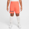 NIKE Academy 25 Dri-FIT Erling Haaland Shorts Kinder 643 - lt wild mango/lt wild mango/orange pulse M (137-147 cm)
