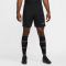 NIKE Academy Dri-FIT Fußball Shorts Herren 010 - black/black/white S