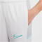 NIKE Academy 25 Dri-FIT Trainingshose Kinder 025 - photon dust/photon dust/dynamic turq M (137-147 cm)
