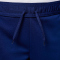 NIKE Paris Saint-Germain Strike Dri-FIT 4th Shorts Kinder 492 - blue void/phantom/phantom XS (122-128 cm)