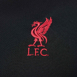 NIKE FC Liverpool Strike Dri-FIT kurzarm Trainingsshirt...