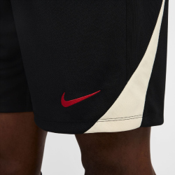 NIKE FC Liverpool Strike Dri-FIT Shorts Herren 010 -...