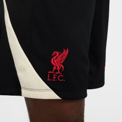 NIKE FC Liverpool Strike Dri-FIT Shorts Herren 010 -...
