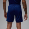 NIKE Paris Saint-Germain Dri-FIT Stadium 4th Shorts Herren 492 - blue void/phantom/phantom XL