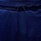 NIKE Paris Saint-Germain Dri-FIT Stadium 4th Shorts Herren 492 - blue void/phantom/phantom XL