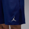 NIKE Paris Saint-Germain Dri-FIT Stadium 4th Shorts Herren 492 - blue void/phantom/phantom XL