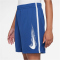 NIKE Multi Dri-FIT Shorts Kinder 480 - game royal/white/white M (137-147 cm)