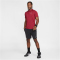 NIKE Court Advantage Dri-FIT Tennis Poloshirt Herren 677 - team red/gym red/white S