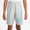NIKE Academy 23 Shorts Kinder 025 - photon dust/white/dynamic turq M (137-147 cm)