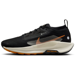 NIKE Pegasus Trail 5 GORE-TEX Trailrunning-Schuhe Damen 005 - off noir/pale ivory-black-monarch 38