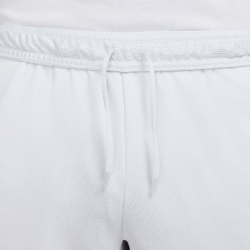 NIKE Strike Dri-FIT Fußballshorts Herren 025 - photon dust/black/dynamic turq/p3252u M