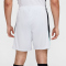 NIKE Strike Dri-FIT Fußballshorts Herren 025 - photon dust/black/dynamic turq/p3252u M