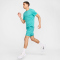 NIKE UV Miler Dri-FIT kurzarm Laufshirt Herren 345 - dusty cactus/reflective silv M
