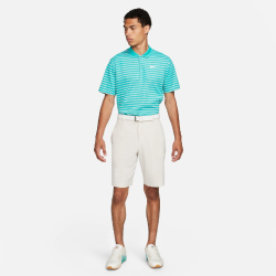 NIKE Dri-FIT Golfshorts Herren 104 - lt orewood brn/lt...