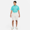 NIKE Dri-FIT Golfshorts Herren 104 - lt orewood brn/lt orewood brn 48