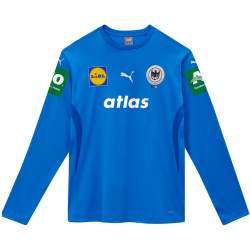 PUMA DHB Deutschland Torwarttrikot 2025 Herren