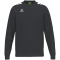 erima CMPT 3 Wings Sweatshirt Herren