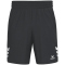 erima Celebrate 125 Trainingsshorts Herren