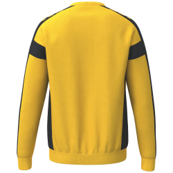 erima CMPT 3 Wings Handball Torwart Sweatshirt Herren...
