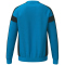 erima CMPT 3 Wings Handball Torwart Sweatshirt Herren curacao/schwarz M