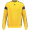 erima CMPT 3 Wings Handball Torwart Sweatshirt Kinder gelb/schwarz 152