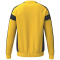 erima CMPT 3 Wings Handball Torwart Sweatshirt Kinder gelb/schwarz 164