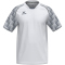 erima Evo Star Trikot Herren weiß/slate grey M