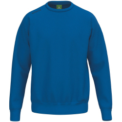 erima Teamsport Sweatshirt Kinder new royal 128