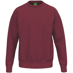 erima Teamsport Sweatshirt Kinder new bordeaux 128
