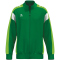erima Celebrate 125 Trainingsjacke Kinder smaragd/green gecko 116