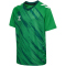hummel hmlMATCH Triumph Fußballtrikot