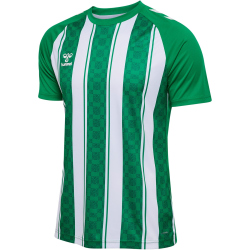 hummel hmlMATCH Striped Fußballtrikot