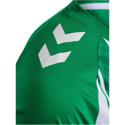 hummel hmlMATCH Striped Fußballtrikot
