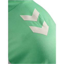 hummel SV Werder Bremen 1/2-Zip Trainingsjacke 2025/26