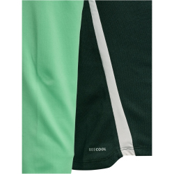 hummel SV Werder Bremen 1/2-Zip Trainingsjacke 2025/26