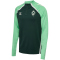 hummel SV Werder Bremen 1/2-Zip Trainingsjacke 2025/26