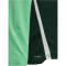 hummel SV Werder Bremen 1/2-Zip Trainingsjacke 2025/26