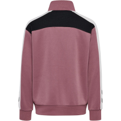 hummel hmlJR Colorblock Trainingsanzug Kinder