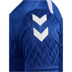 hummel hmlMATCH Legend Fußballtrikot 7045 - true...