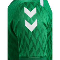 hummel hmlMATCH Legend Fußballtrikot 6235 - jelly...