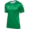 hummel hmlMATCH Legend Fußballtrikot 6235 - jelly bean XS