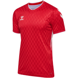 hummel hmlMATCH Legend Fußballtrikot 3062 - true...